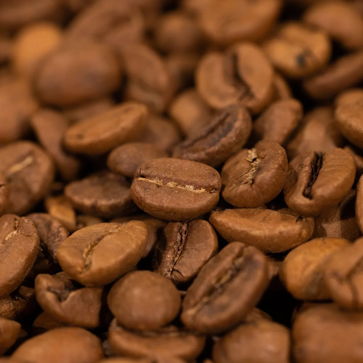 Roasted coffee beans, close up